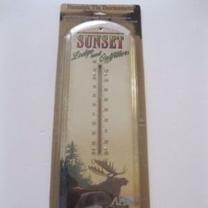 * SPECIAL * Metal Thermometer In/Outdoors 17" NWT